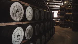 Arbikie Highland Rye Cask of Single Grain 2018