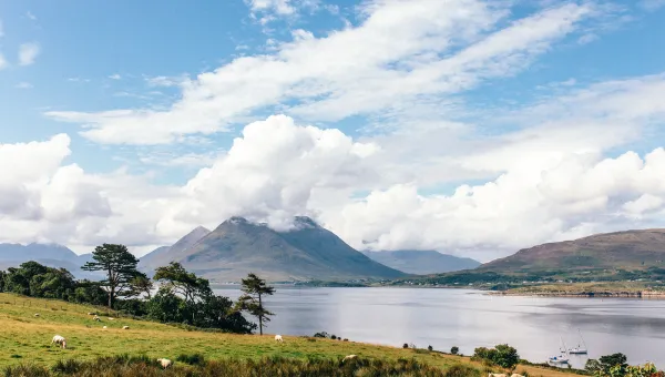 Isle Of Raasay Oloroso Sherry Cask Experience