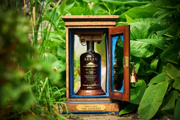 Whisk-E Ltd The Journey 30 Year Old 1995