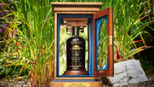 Whisk-E Ltd The Journey 30 Year Old 1995