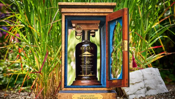 Whisk-E Ltd The Journey 30 Year Old 1995